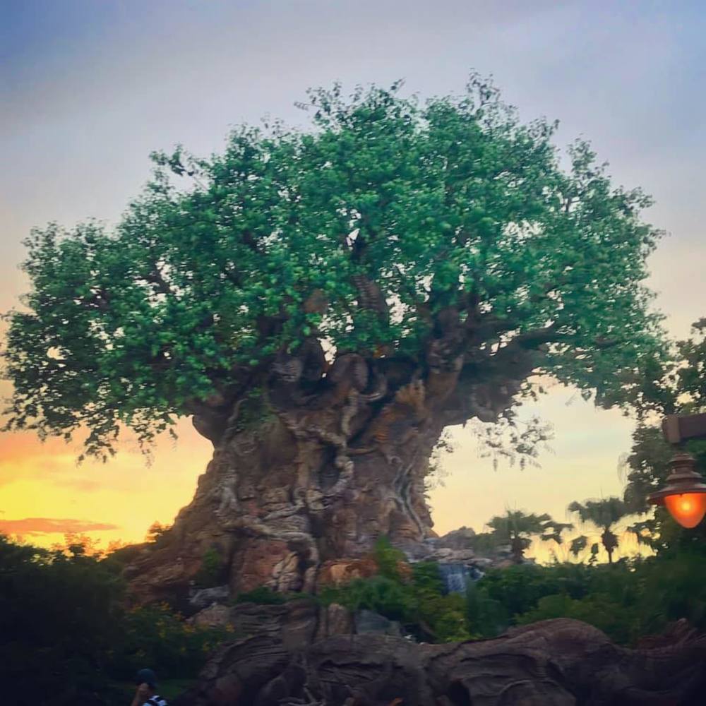 Meet your Posher, Teresa